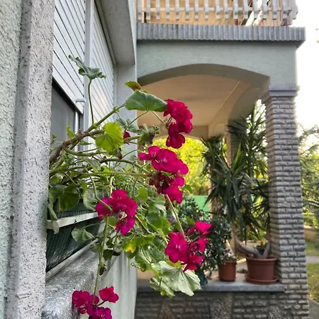 Gabi Apartman Apartman